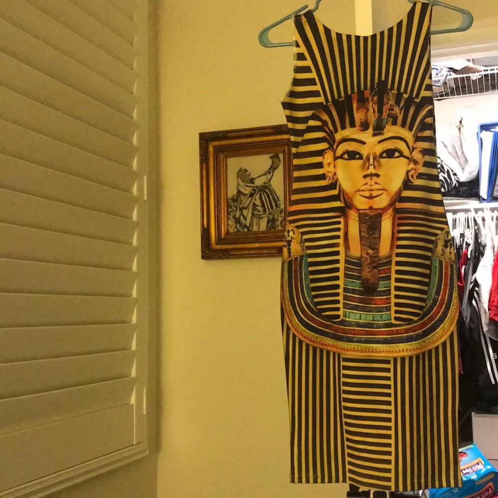 Beautiful skin tight pharaoh dress